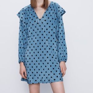 Polka Dot Zara Mini Dress